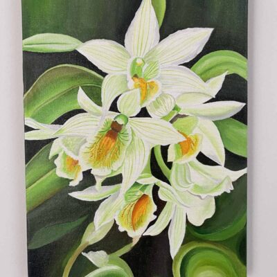Acrylic Paintings on Canvas - Orchids