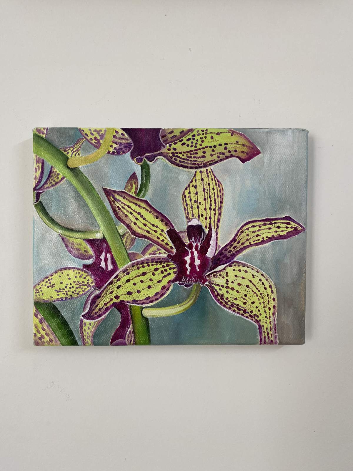 Acrylic Paintings on Canvas - Orchids
