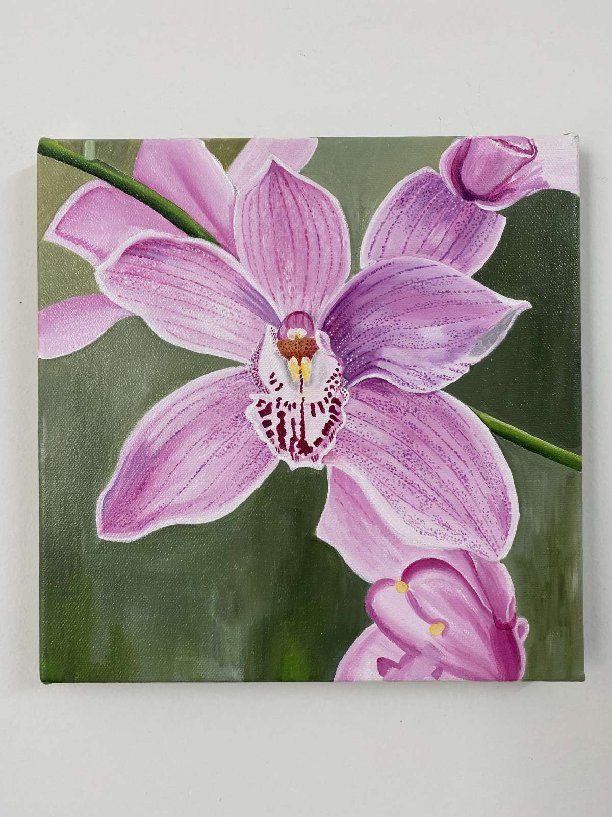 Acrylic Paintings on Canvas - Orchids