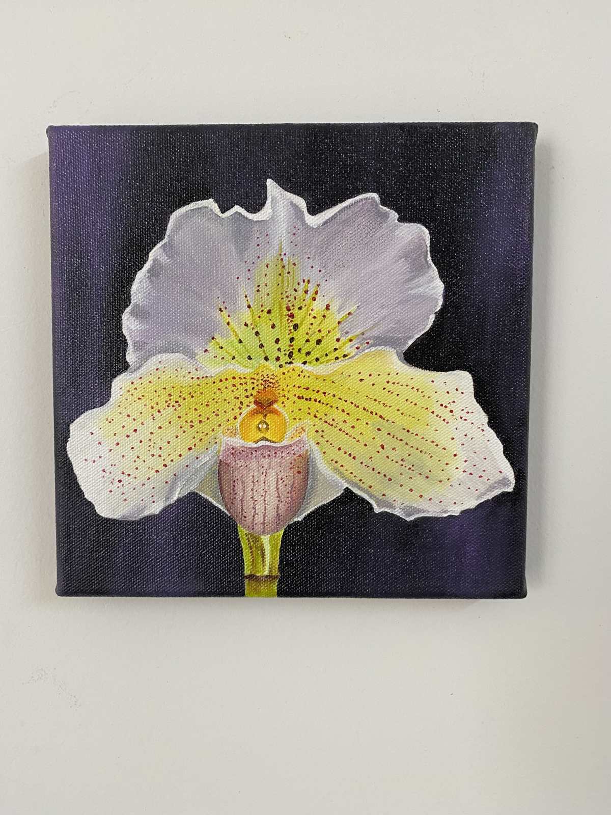 Acrylic Paintings on Canvas - Orchids