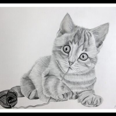 Cute Easy Cat Drawing - Crafty Art Ideas