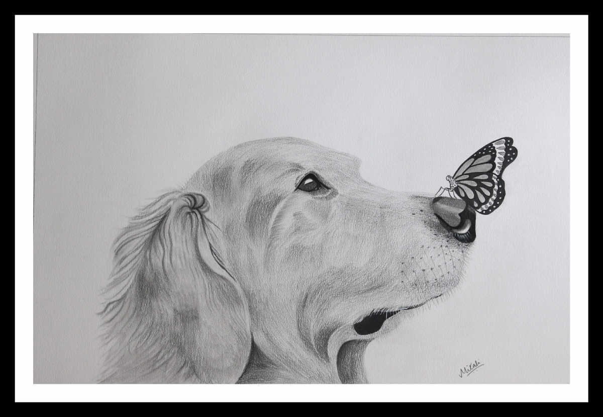 Pencil Sketch - Dog | imagicArt