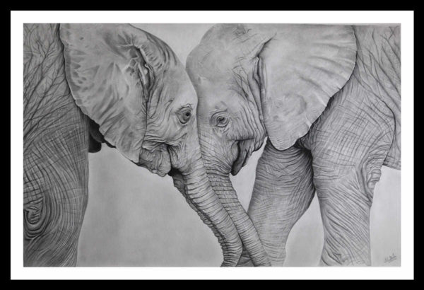 Pencil Sketch - Affectionate Elephants
