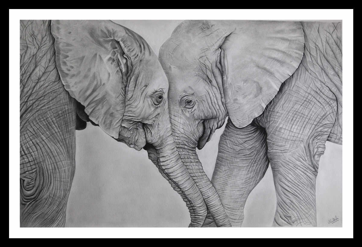 pencil art