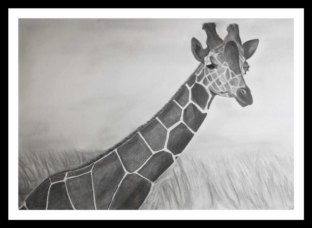 Giraffe Sketch Original Artwork - LighthouseLane-anthinhphatland.vn