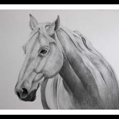 Pencil-sketch-horse