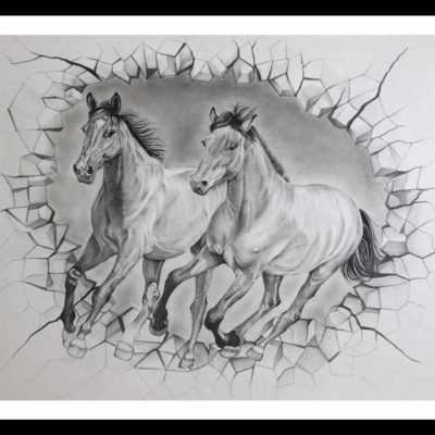 Pencil Sketch - Horses