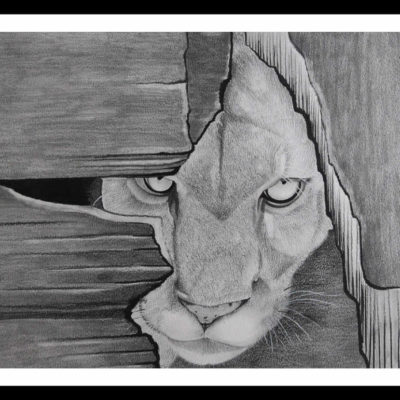 Pencil Sketch - Puma