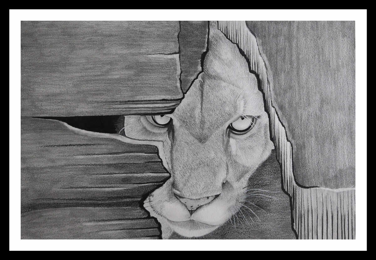 Pencil Sketch - Puma | imagicArt