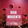 Viva-Magenta-Main-Image