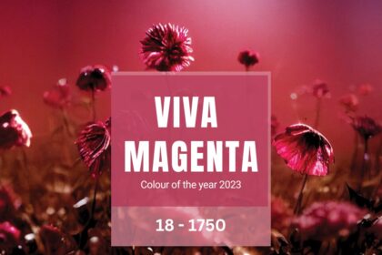Viva-Magenta-Main-Image