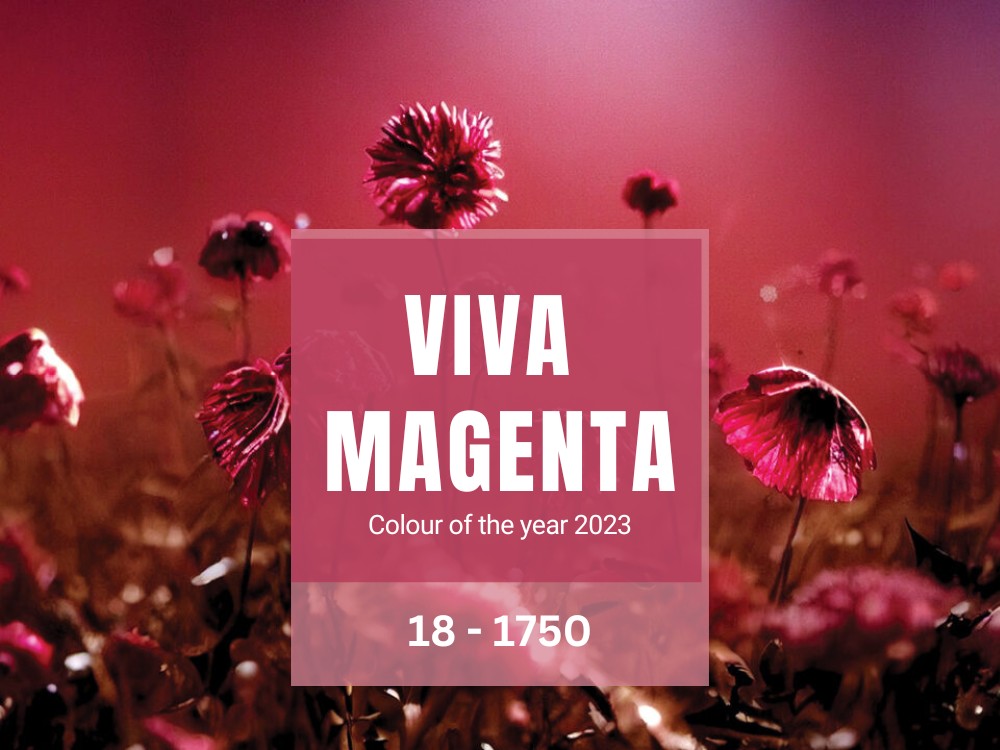 Viva Magenta colour of the year 2023