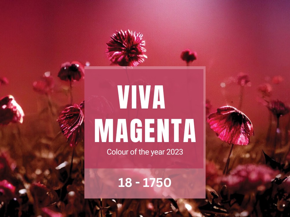 Viva-Magenta-Main-Image